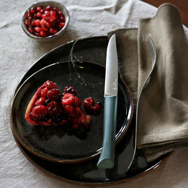 opinel-bon-app-tit-individual-steak-knife-red-dishwasher-safe image 1