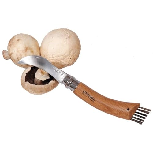 opinel-mushroom-knife-with-natural-beech-handle-and-wild-boar-bristle-brush image 6