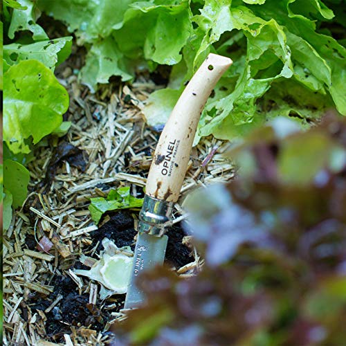 opinel-no-8-boxed-garden-knife-stainless-steel-beechwood-handle-virobloc-lock image 5