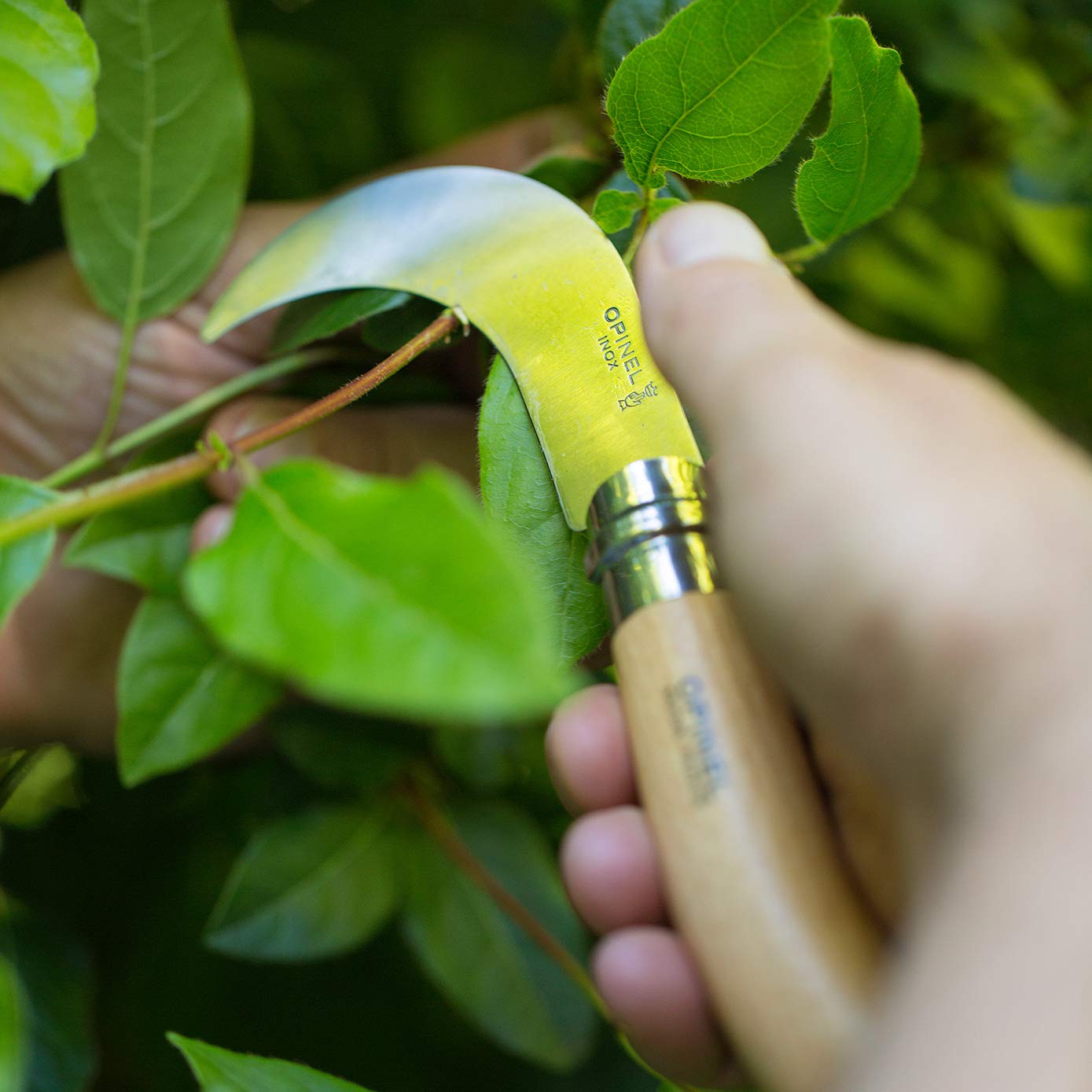 opinel-pruning-folding-knife-no-8-with-yatagan-curved-blade-and-virobloc-safety- image 8