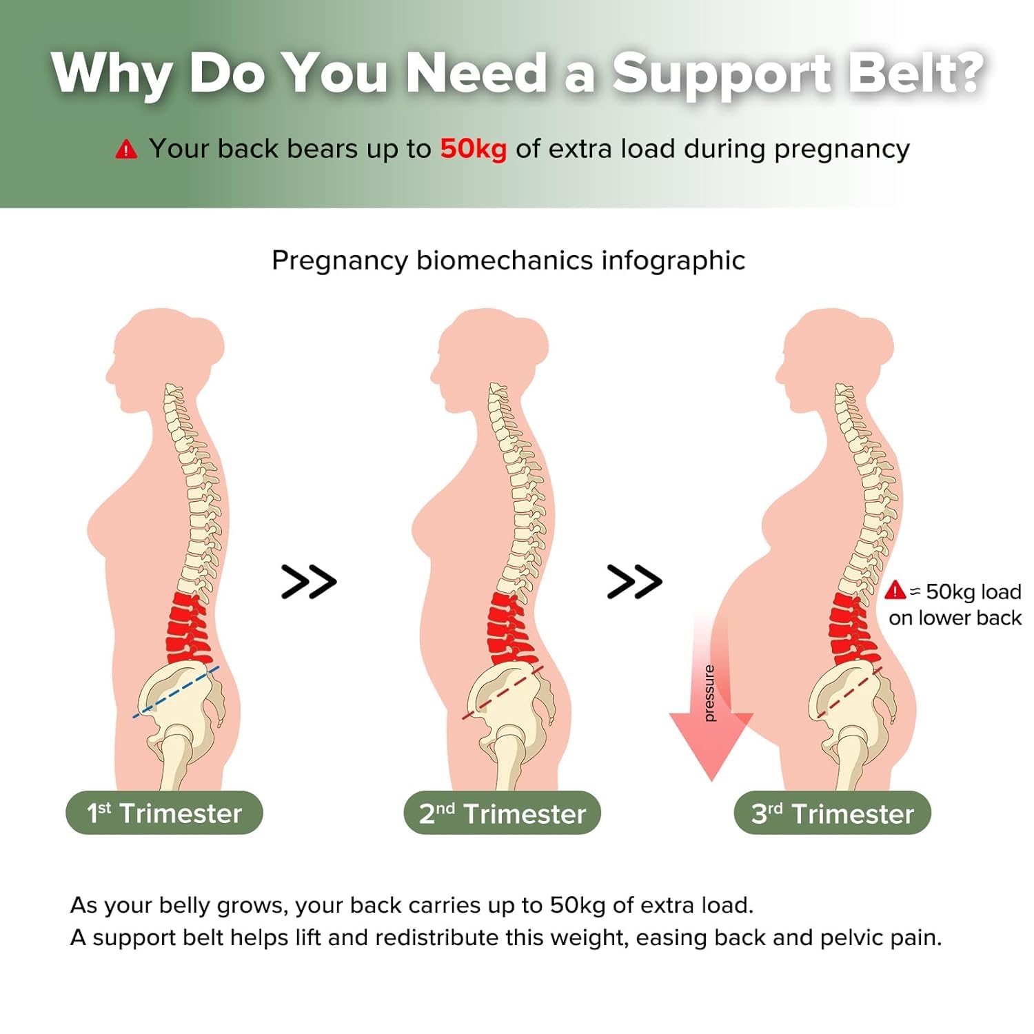 haakaa-maternity-support-belt-one-piece-adjustable-pregnancy-back-pelvic-support image 2