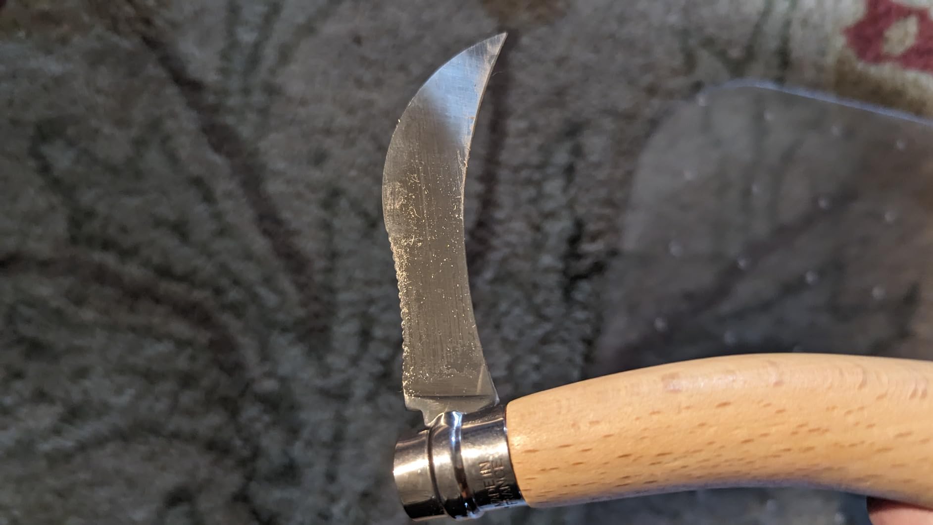 Perfect for foraging