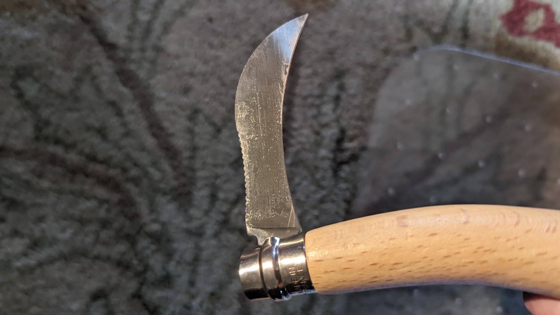 A must-have for mushroom lovers