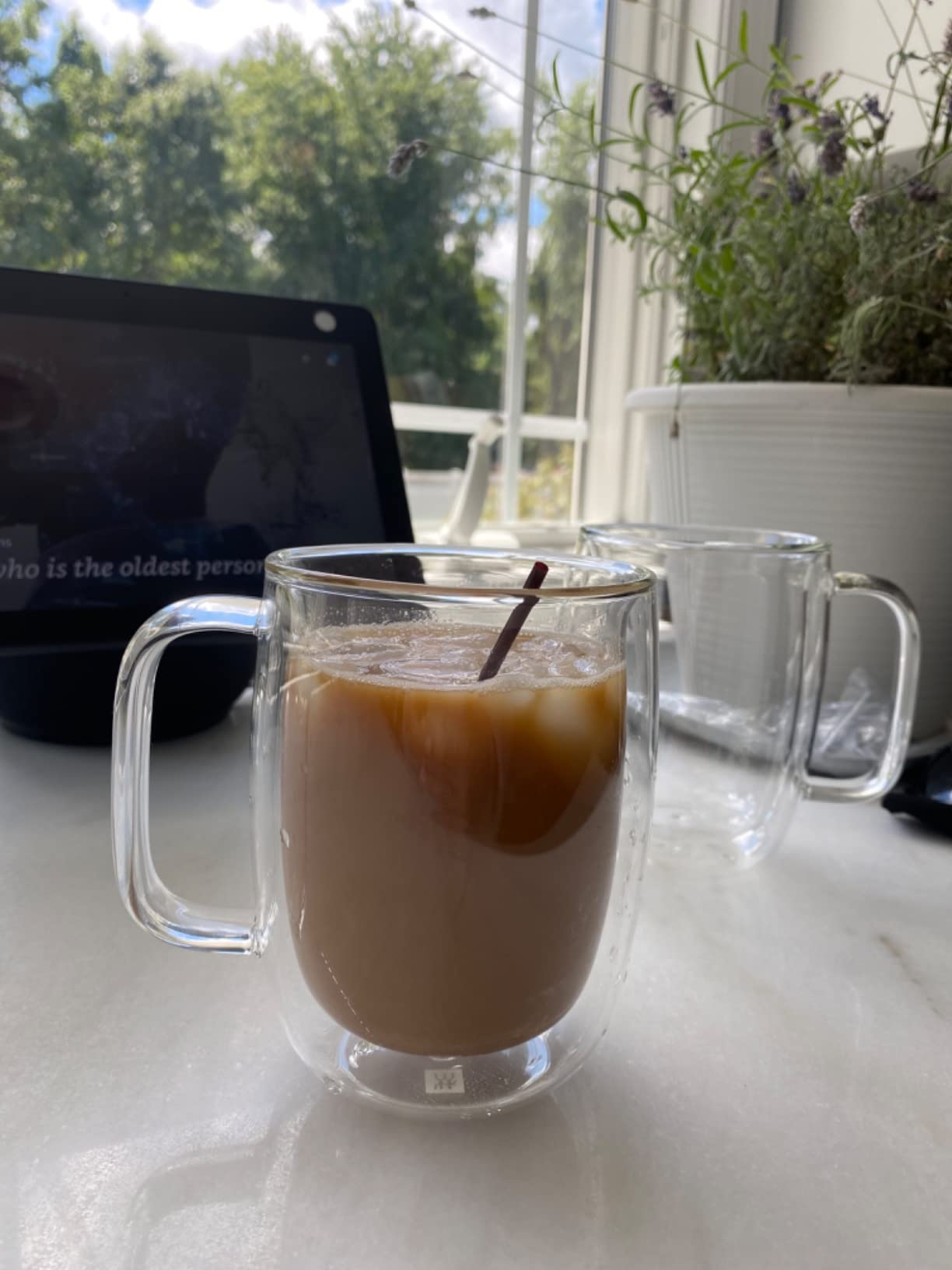 Perfect for my home café