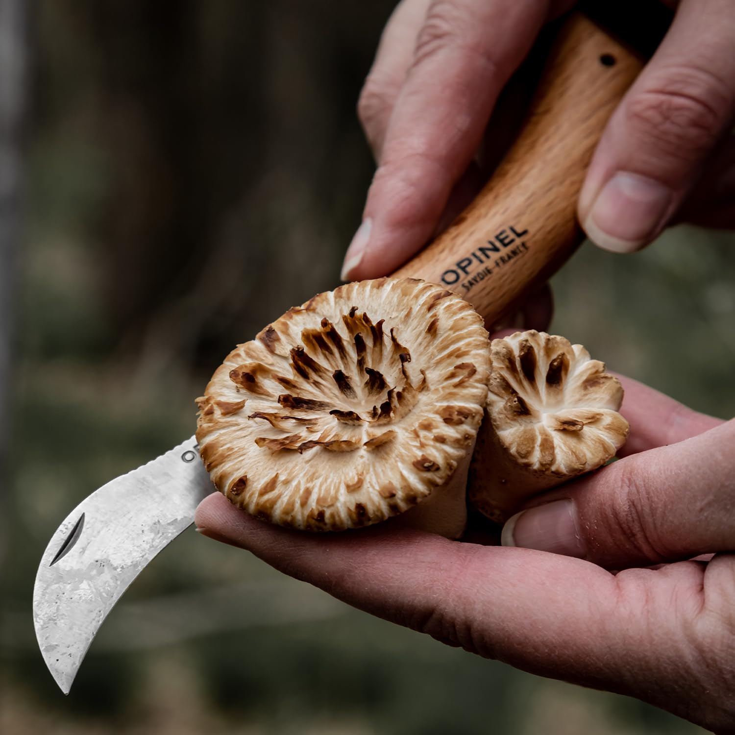opinel-no-08-mushroom-knife-curved-sandvik-steel-blade-beechwood-handle-with-int image 8