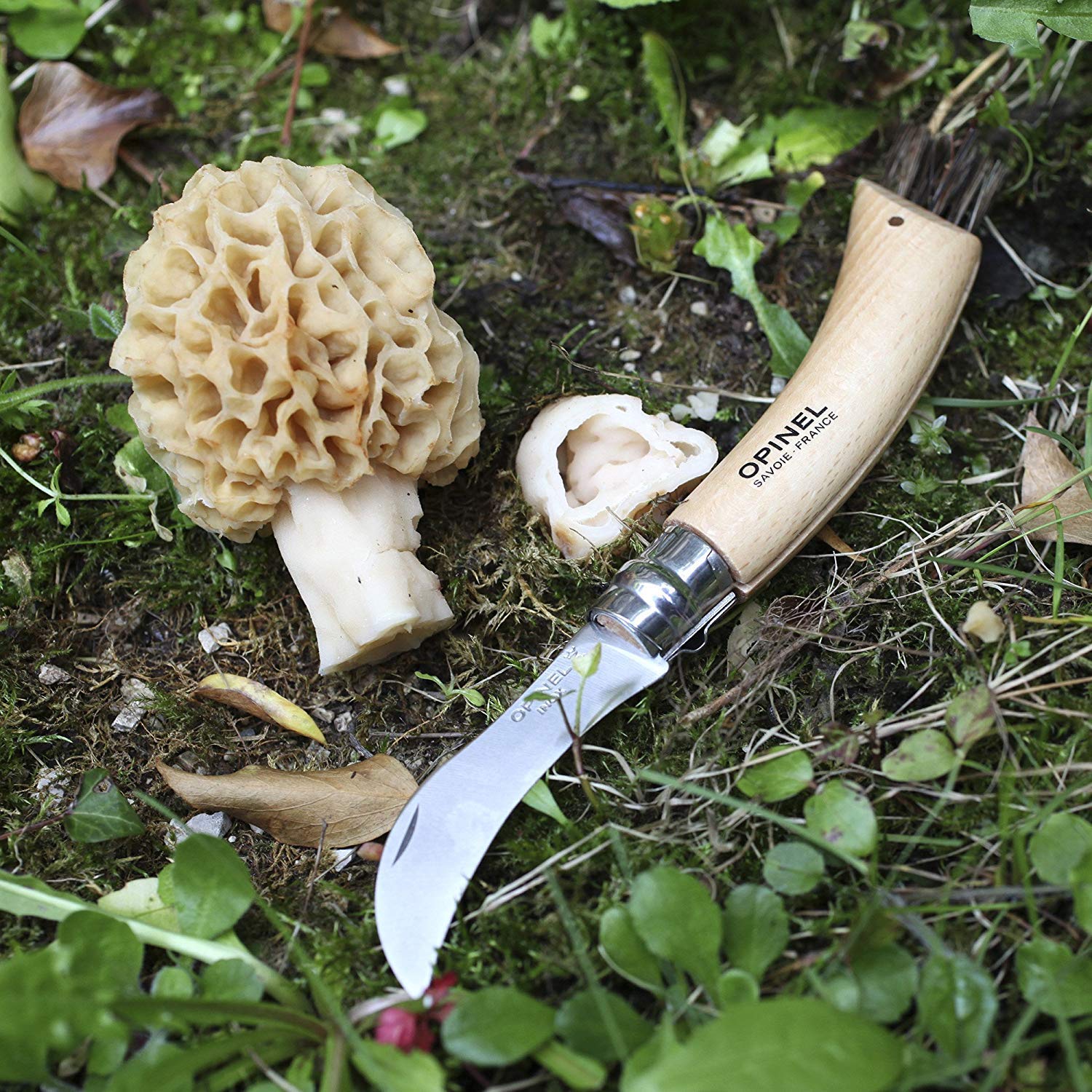 opinel-no-8-mushroom-folding-knife-with-brush-sheath-in-wooden-gift-box-foraging image 6