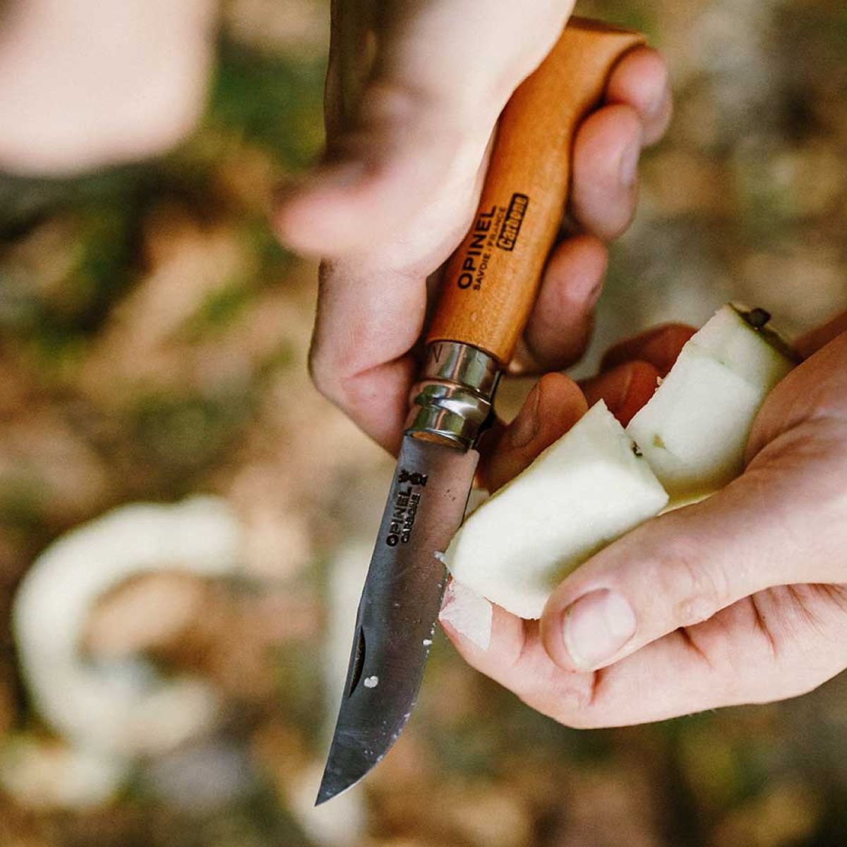opinel-carbon-steel-folding-knife-collector-set-of-10-no-02-to-no-12-with-wooden image 3