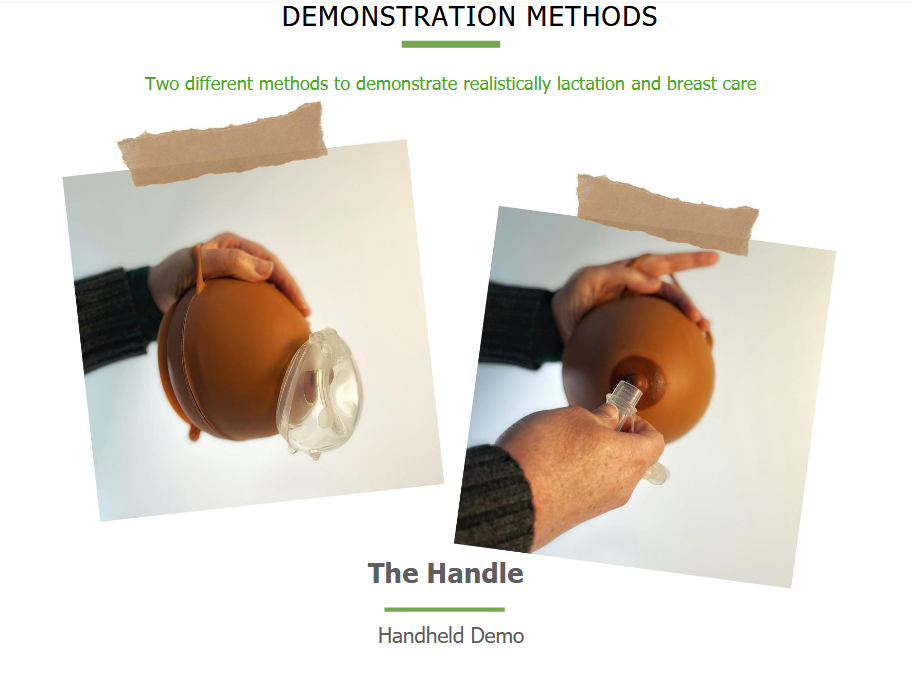haakaa-silicone-lactation-demo-breast-1pk image 6