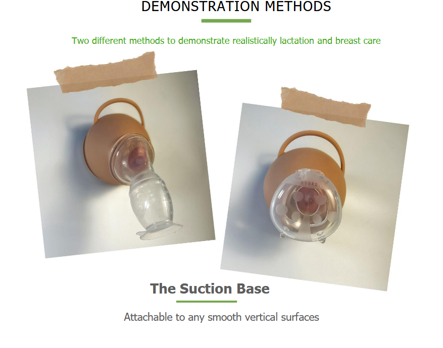 haakaa-silicone-lactation-demo-breast-1pk image 5