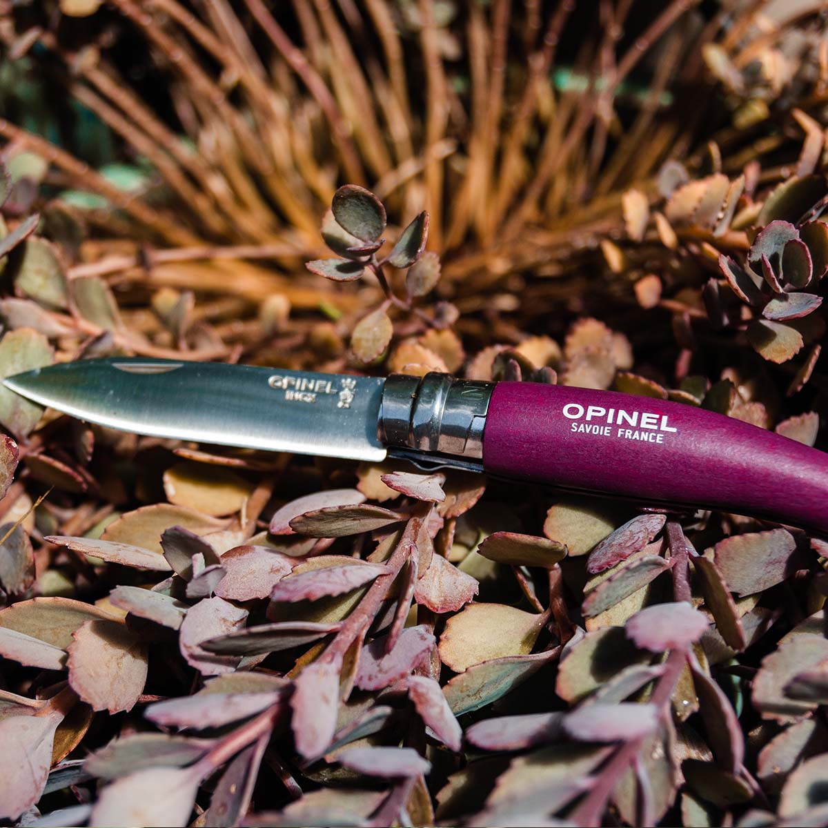 opinel-gardener-premium-set-garden-trio-hand-pruner-with-wooden-box image 4