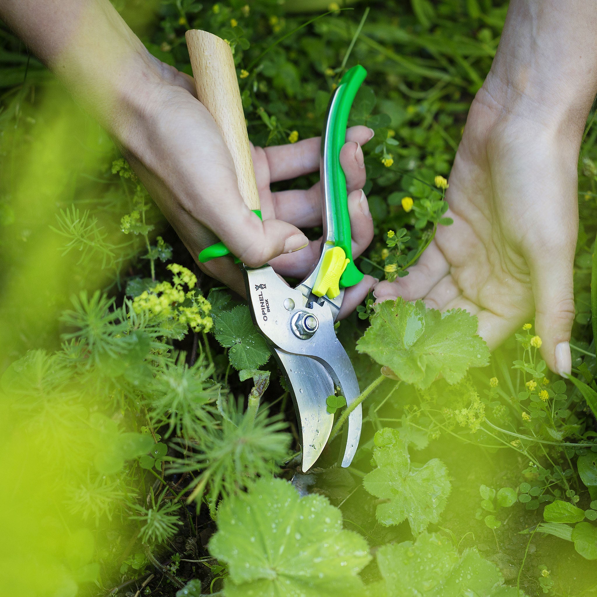 opinel-hand-pruners-with-3-position-locking-system-stainless-steel-beech-handle- image 4