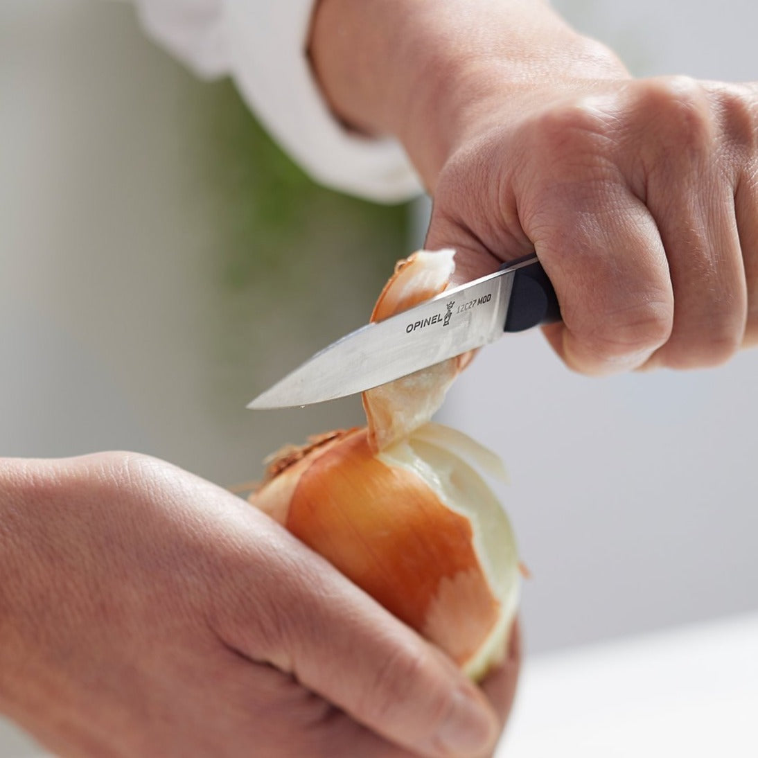 opinel-intempora-3-paring-knife-full-tang-dishwasher-safe image 2