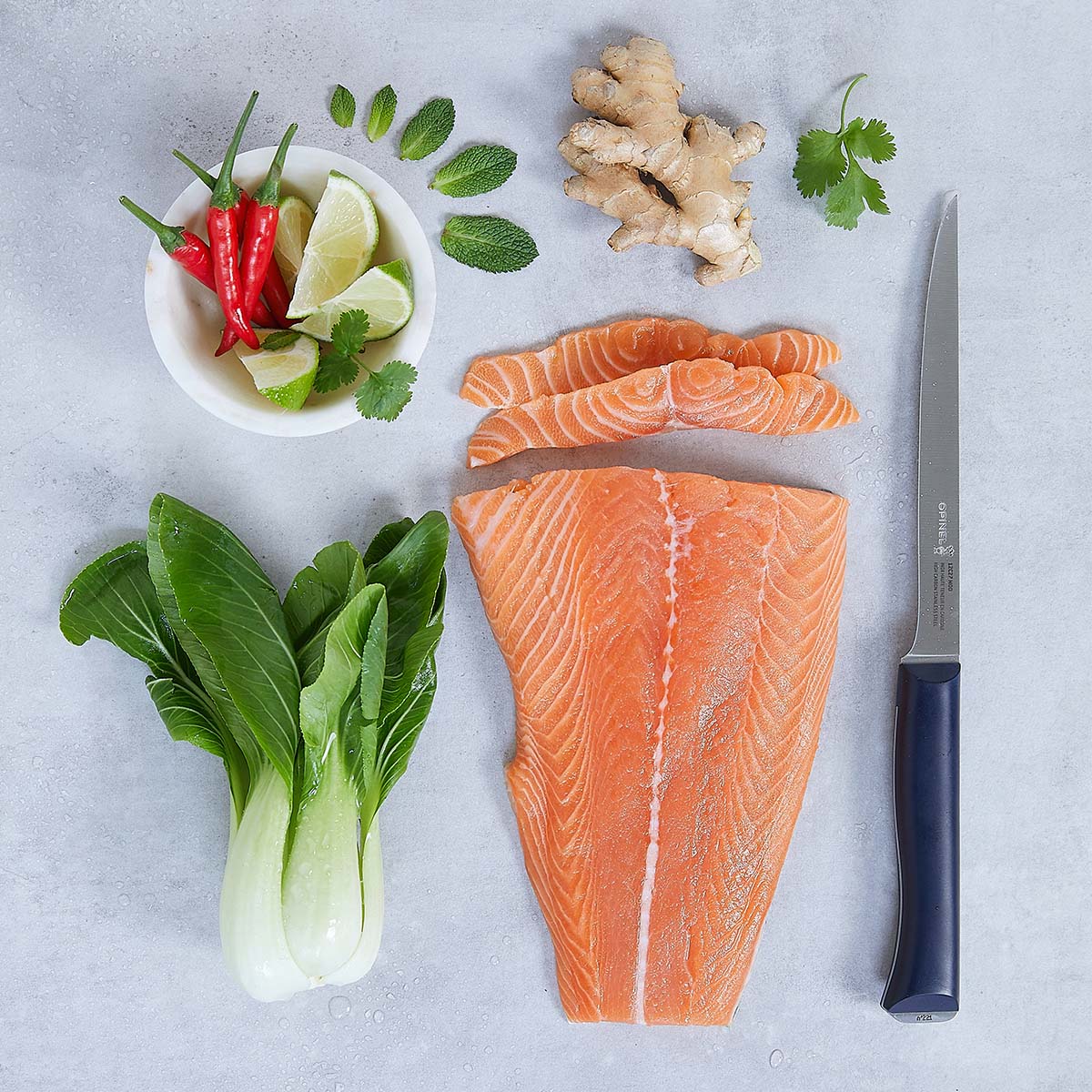 opinel-intempora-7-inch-fillet-knife-with-dishwasher-safe-handle image 3