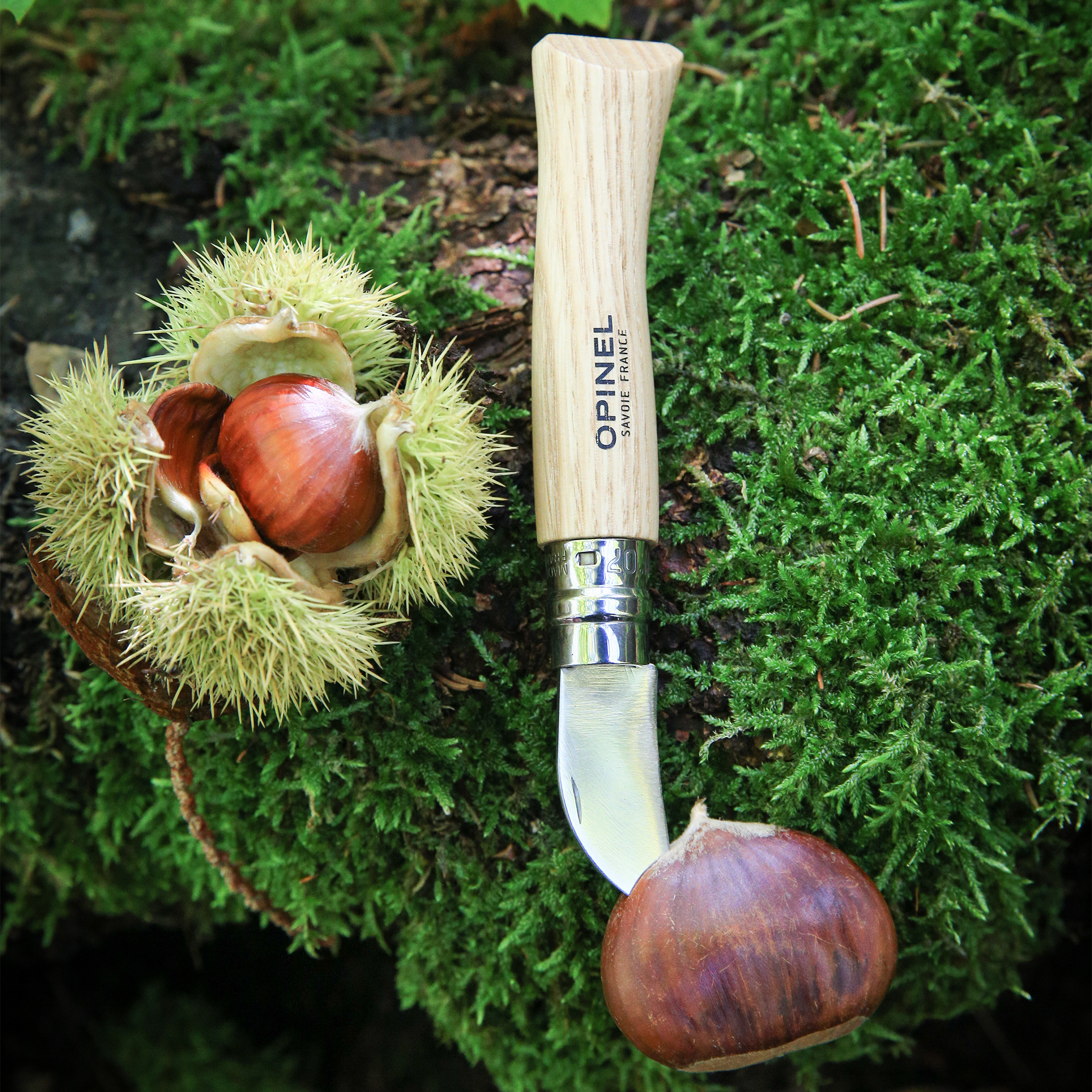 opinel-no-07-folding-scoring-knife-with-chestnut-wood-handle image 5