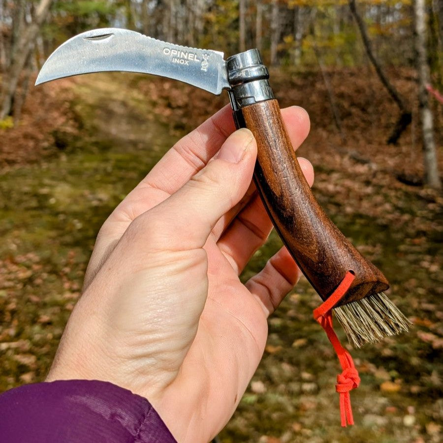 opinel-no-08-mushroom-knife-walnut-with-brush image 2