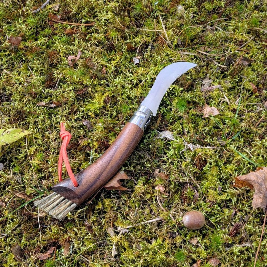 opinel-no-08-mushroom-knife-walnut-with-brush image 4