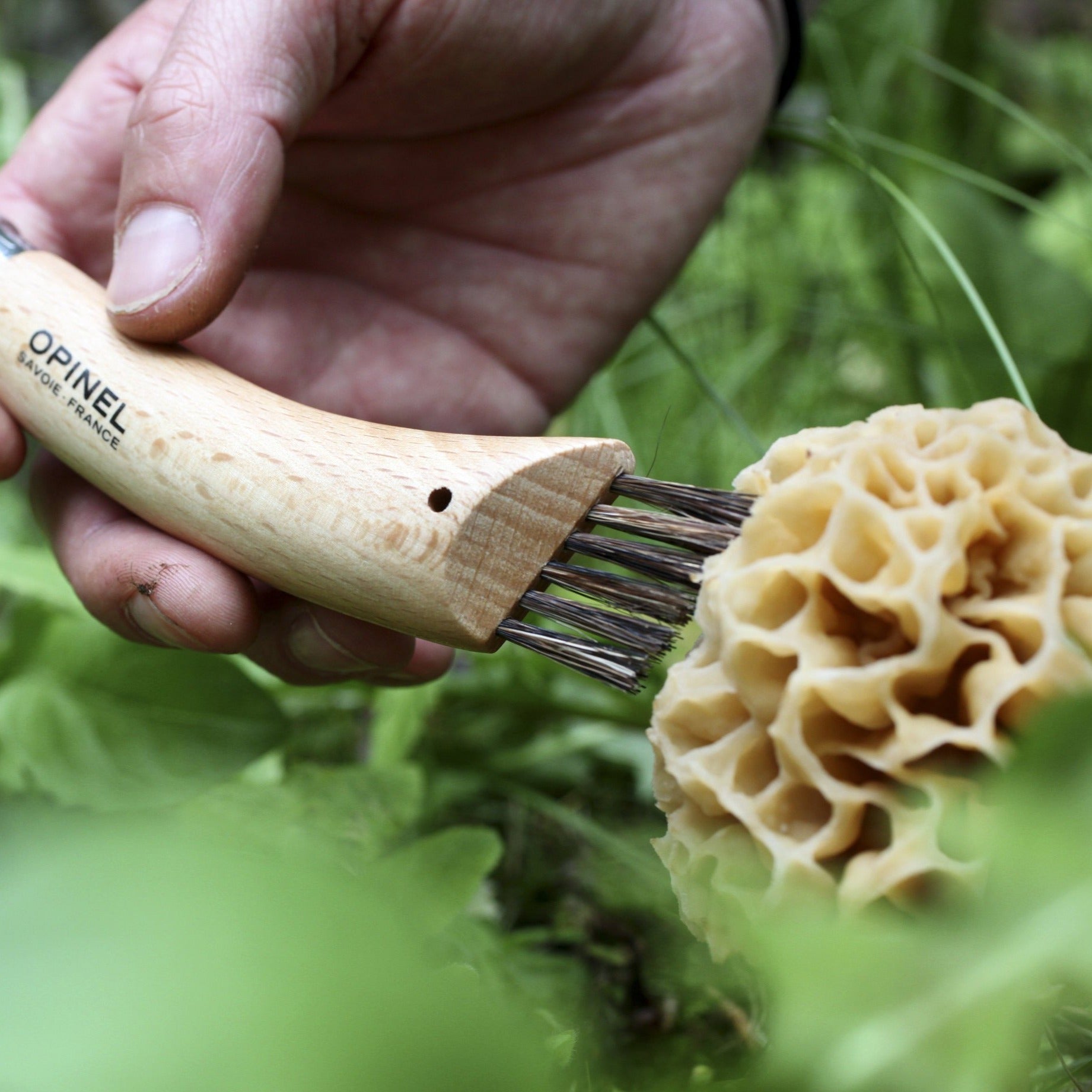 opinel-no-08-mushroom-knife-with-boar-bristle-brush image 5