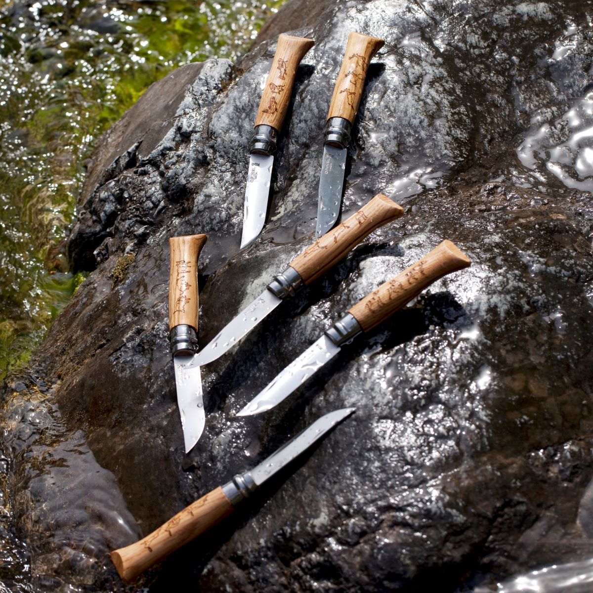 opinel-no-08-oak-engraved-handle-folding-knife-animalia-collection image 3