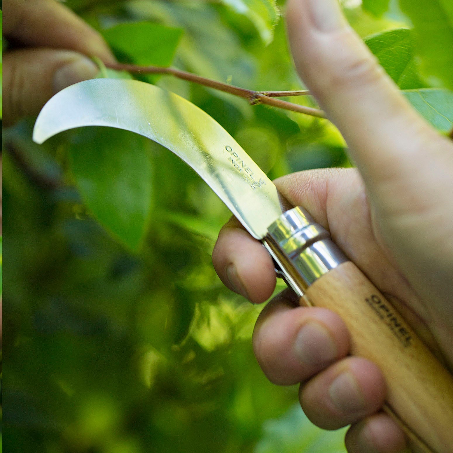 opinel-no-10-billhook-folding-knife-with-curved-blade-beech-wood-handle image 2