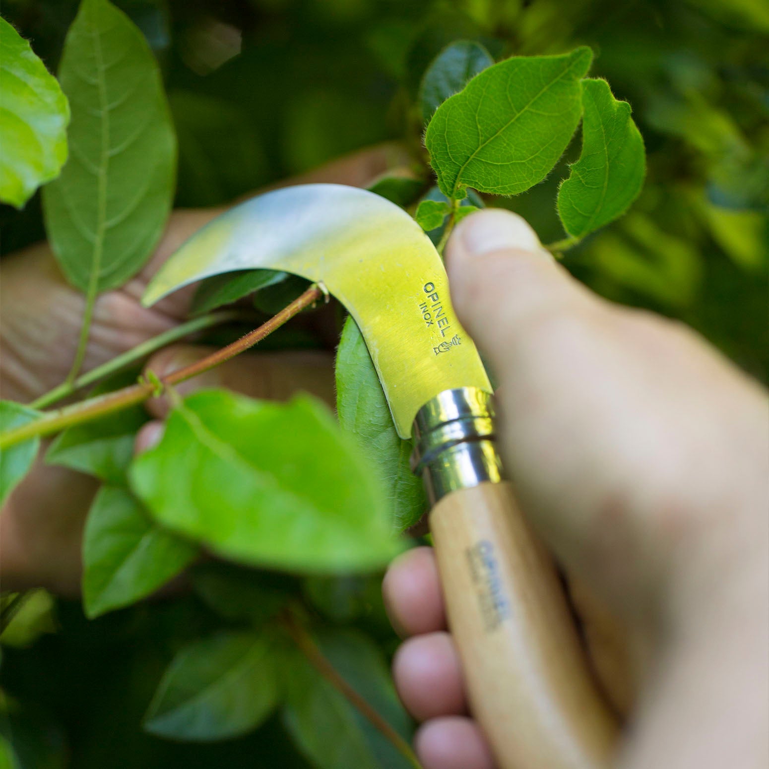 opinel-no-10-billhook-folding-knife-with-curved-blade-beech-wood-handle image 3