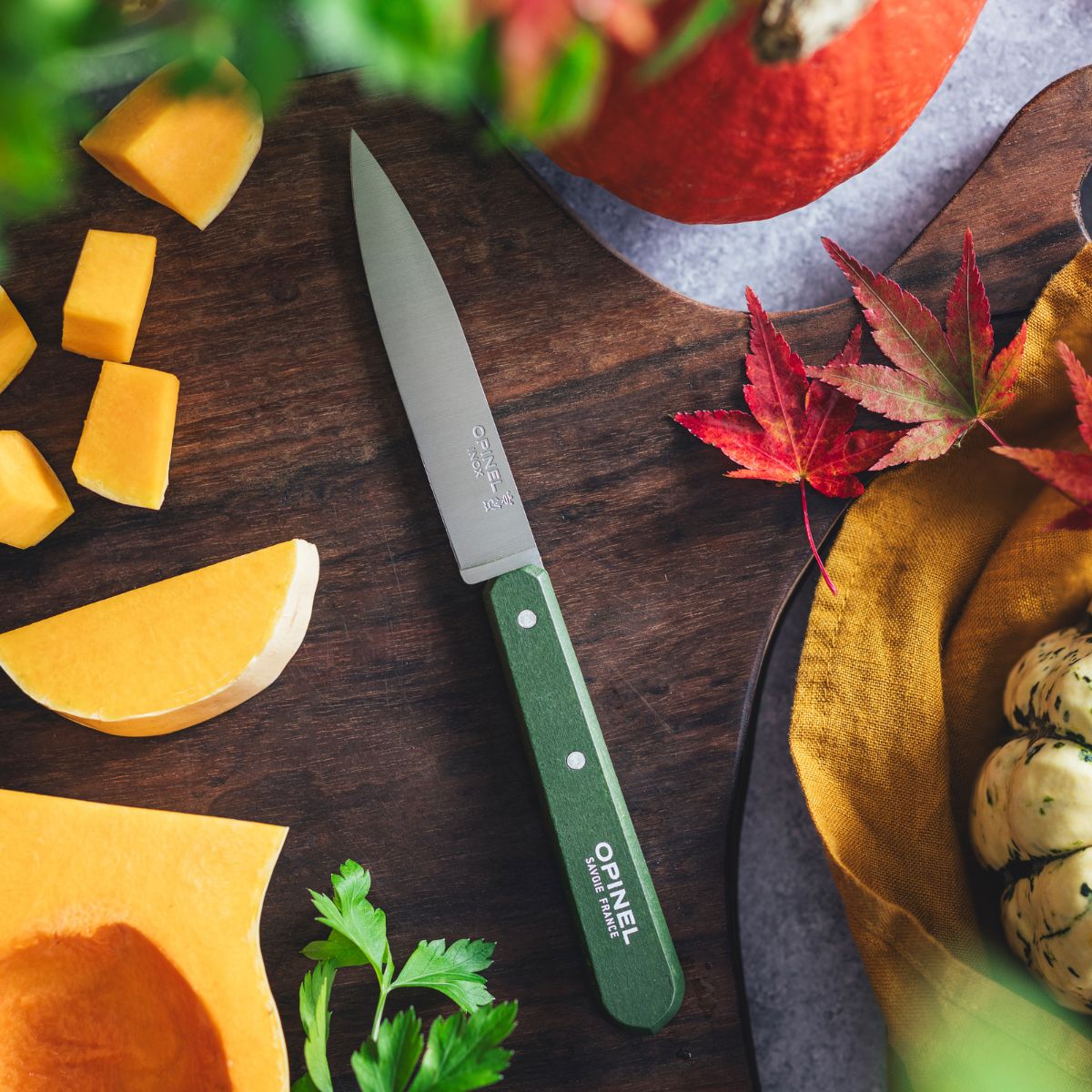 opinel-paring-knife-essential-paysage-color-set image 6
