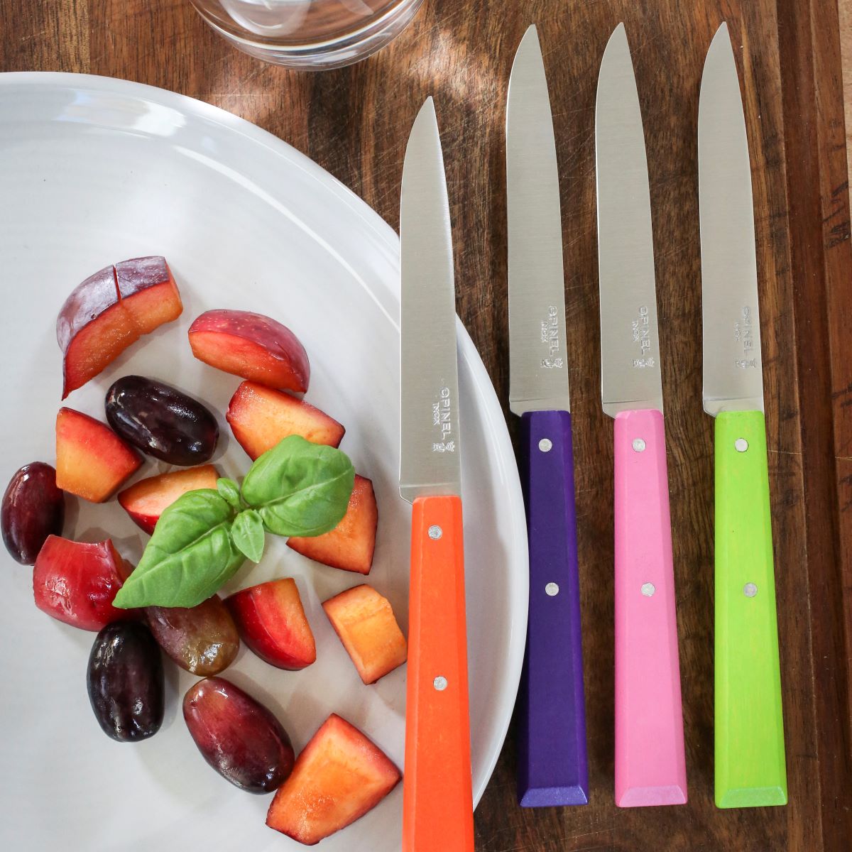 opinel-bon-app-tit-non-serrated-steak-knife-multiple-colors image 2