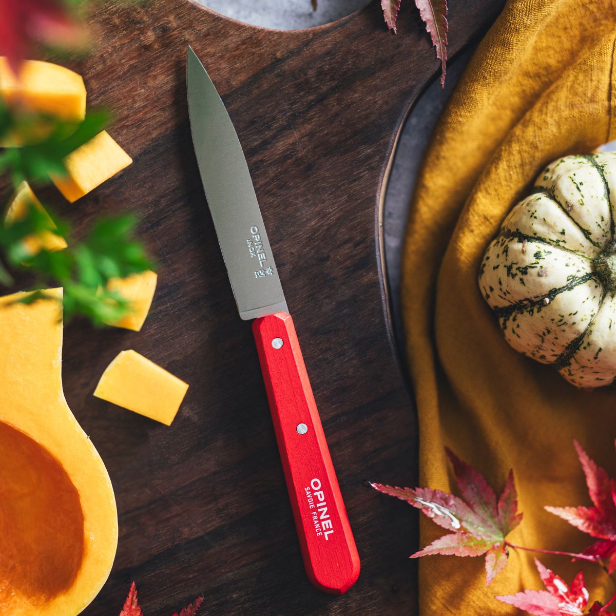 opinel-paring-knife-essential-paysage-color-set image 8