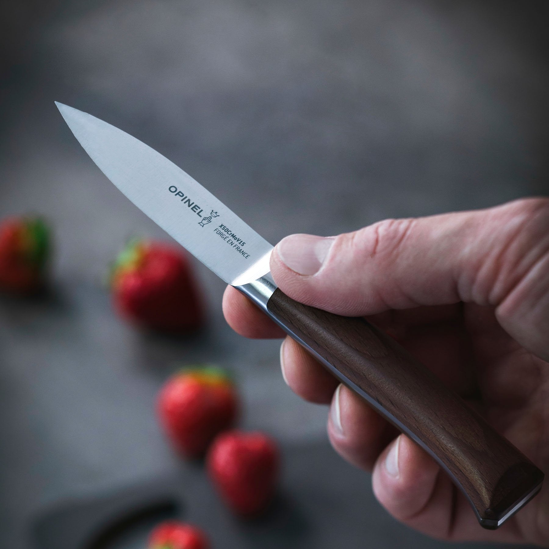 opinel-les-forg-s-1890-professional-paring-knife-3-full-tang-forged-x50crmov15-s image 4
