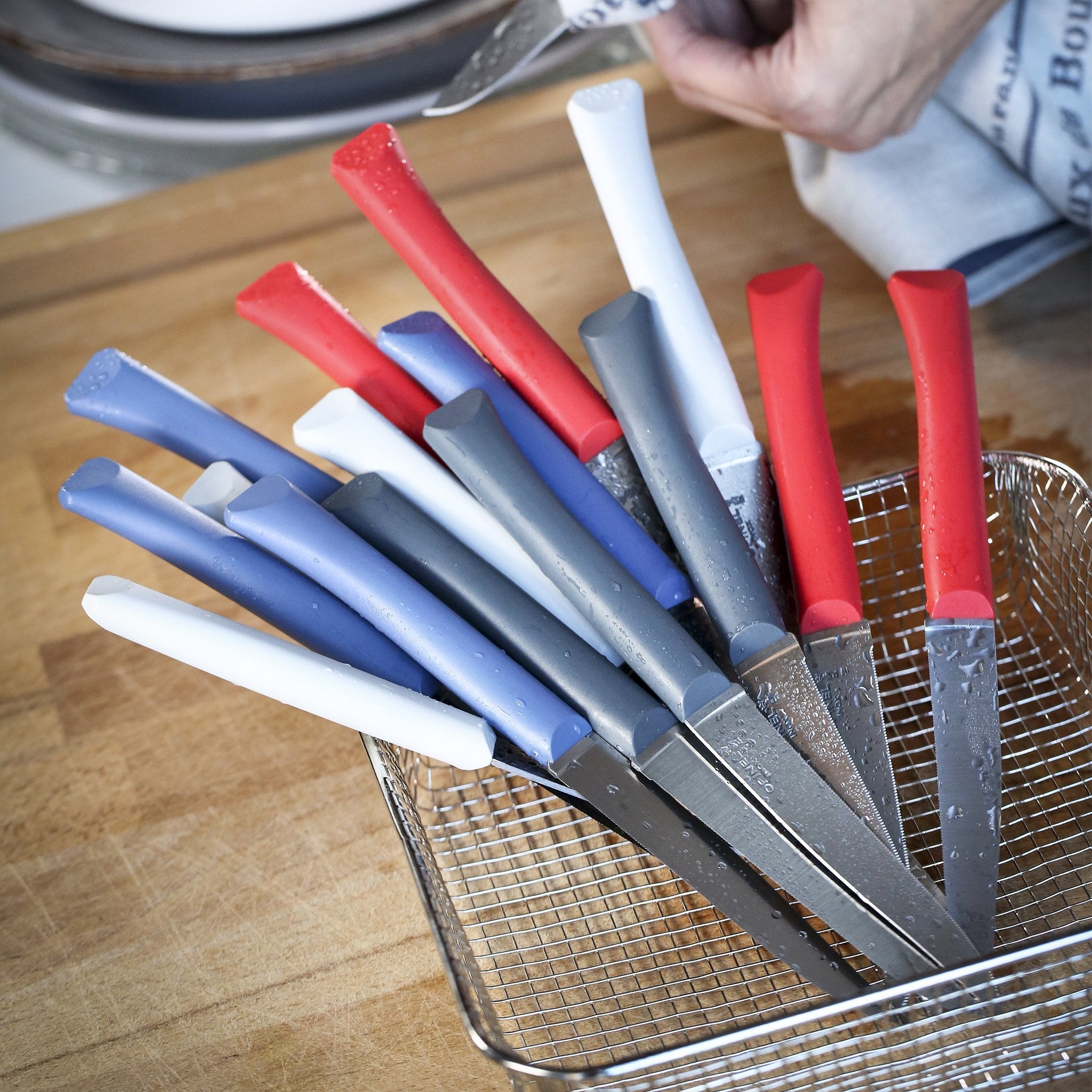 opinel-bon-app-tit-serrated-steak-knife-set-set-of-4-dishwasher-safe image 5