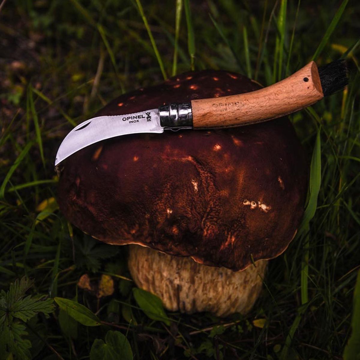 opinel-surf-turf-kit-no-08-mushroom-knife-no-09-oyster-knife image 4