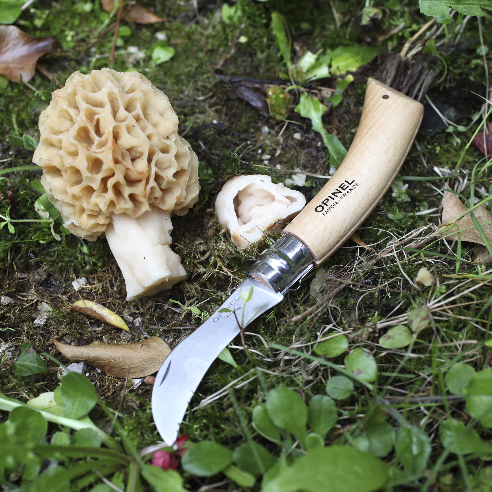 opinel-surf-turf-kit-no-08-mushroom-knife-no-09-oyster-knife image 5