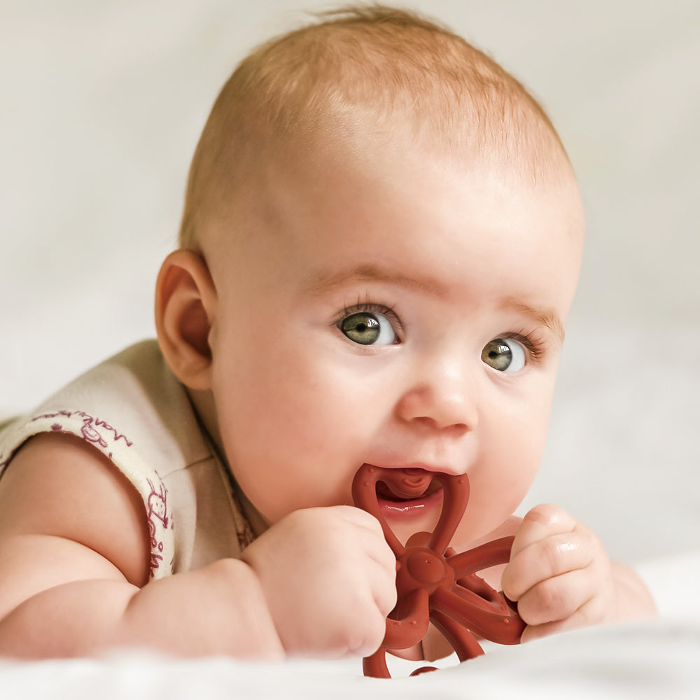 haakaa-silicone-clover-teether-6-leaf-design-1-pack image 2